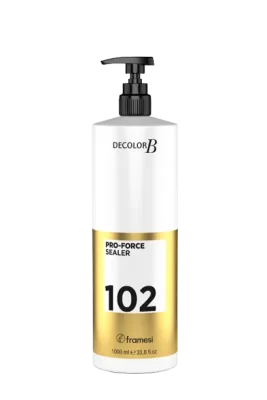 DECOLOR B PRO-FORCE SEALER 1 LT