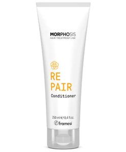 REPAIR CONDITIONES 250ML
