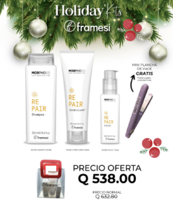 Repair Holiday Kit