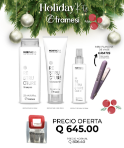 Restructure Holiday Kit