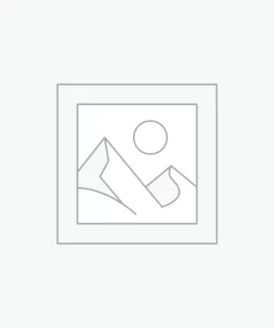 Uncategorized